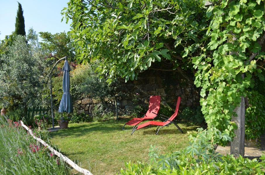 Casa Ercole Farm Stay Греве-ин-Кьянти Экстерьер фото